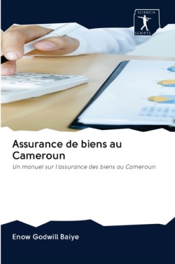 Assurance de biens au Cameroun