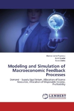 Modeling and Simulation of Macroeconomic Feedback Processes