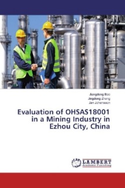 Evaluation of OHSAS18001 in a Mining Industry in Ezhou City, China