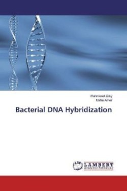 Bacterial DNA Hybridization