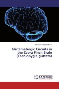 Glutamatergic Circuits in the Zebra Finch Brain (Taeniopygia guttata)