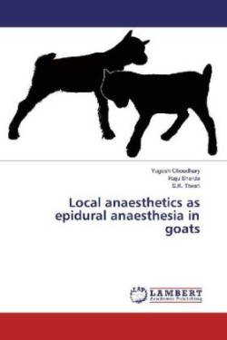 Local anaesthetics as epidural anaesthesia in goats