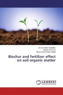 Biochar and fertilizer effect on soil organic matter