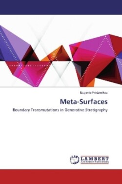 Meta-Surfaces