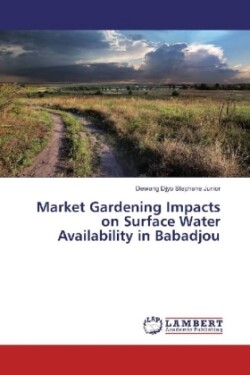 Market Gardening Impacts on Surface Water Availability in Babadjou