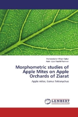 Morphometric studies of Apple Mites on Apple Orchards of Ziarat