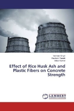 Effect of Rice Husk Ash and Plastic Fibers on Concrete Strength