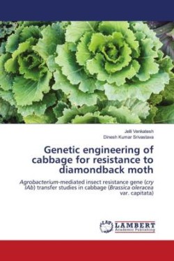 Genetic engineering of cabbage for resistance to diamondback moth