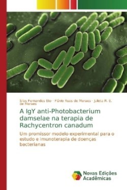 IgY anti-Photobacterium damselae na terapia de Rachycentron canadum