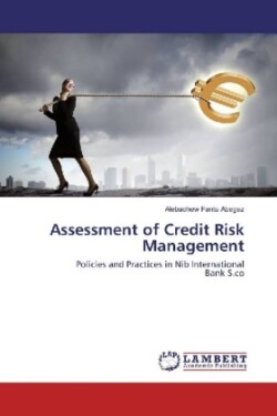 Assessment of Credit Risk Management