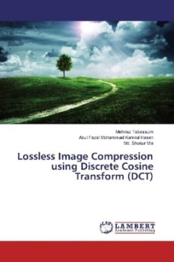 Lossless Image Compression using Discrete Cosine Transform (DCT)