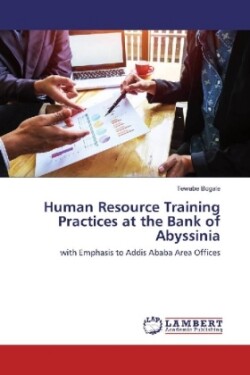 Human Resource Training Practices at the Bank of Abyssinia