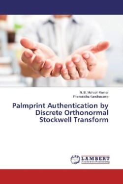 Palmprint Authentication by Discrete Orthonormal Stockwell Transform