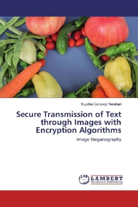 Secure Transmission of Text through Images with Encryption Algorithms