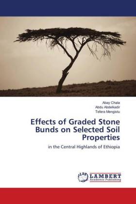 Effects of Graded Stone Bunds on Selected Soil Properties