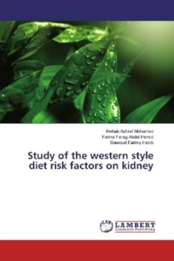 Study of the western style diet risk factors on kidney