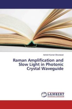 Raman Amplification and Slow Light in Photonic Crystal Waveguide