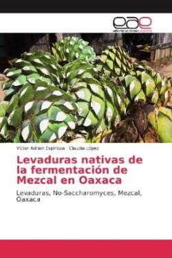 Levaduras nativas de la fermentación de Mezcal en Oaxaca