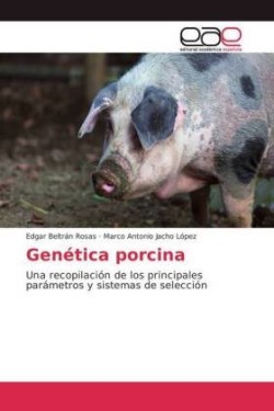 Genética porcina