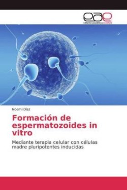 Formación de espermatozoides in vitro