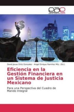 Eficiencia en la Gestión Financiera en un Sistema de Justicia Mexicano