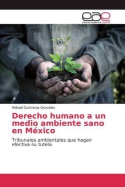 Derecho humano a un medio ambiente sano en México