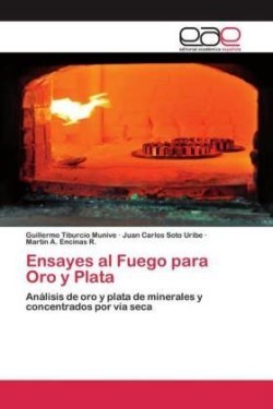 Ensayes al Fuego para Oro y Plata