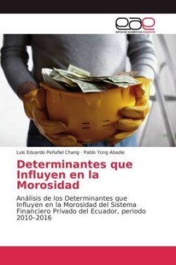 Determinantes que Influyen en la Morosidad