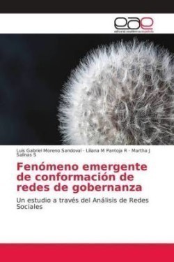 Fenómeno emergente de conformación de redes de gobernanza