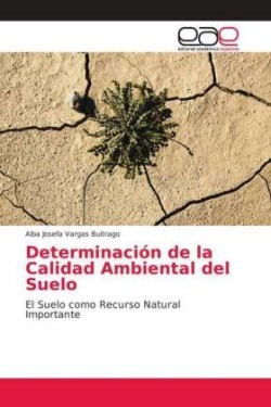 Determinación de la Calidad Ambiental del Suelo