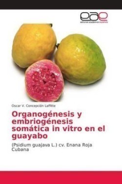 Organogénesis y embriogénesis somática in vitro en el guayabo