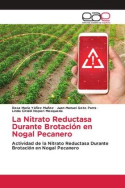 La Nitrato Reductasa Durante Brotación en Nogal Pecanero