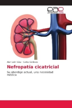 Nefropatía cicatricial