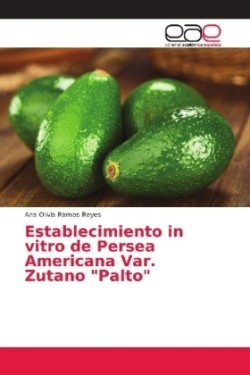 Establecimiento in vitro de Persea Americana Var. Zutano "Palto"