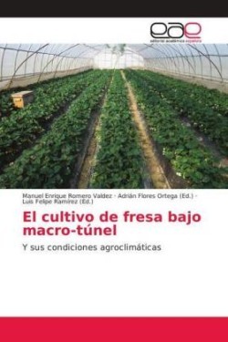 El cultivo de fresa bajo macro-túnel