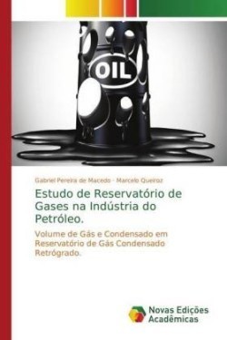 Estudo de Reservatório de Gases na Indústria do Petróleo