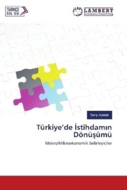 Türkiye'de Istihdamin Dönüsümü