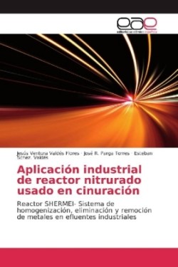 Aplicación industrial de reactor nitrurado usado en cinuración