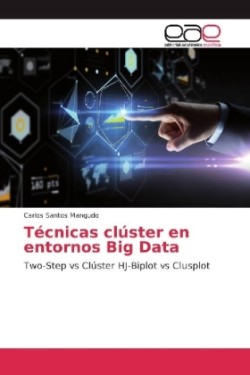 Técnicas clúster en entornos Big Data