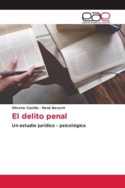 El delito penal