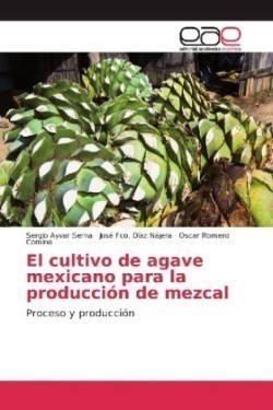 cultivo de agave mexicano para la producción de mezcal
