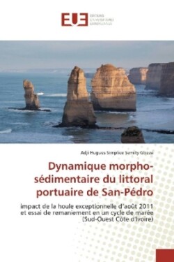 Dynamique morpho-sédimentaire du littoral portuaire de San-Pédro