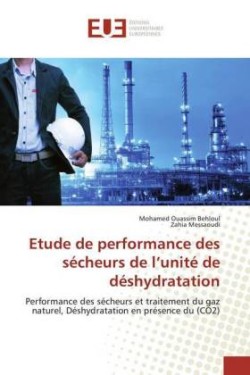 Etude de performance des sécheurs de l'unité de déshydratation