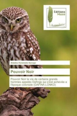 Pouvoir Noir