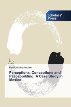 Perceptions, Conceptions and Peacebuilding: A Case Study in Mexico