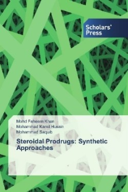 Steroidal Prodrugs: Synthetic Approaches