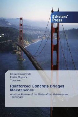 Reinforced Concrete Bridges Maintenance