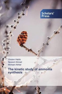 kinetic study of ammonia synthesis