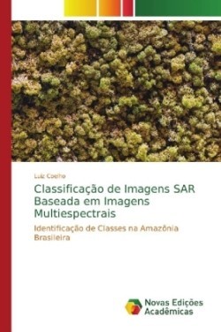 Classificação de Imagens SAR Baseada em Imagens Multiespectrais