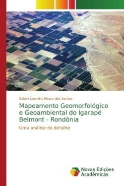 Mapeamento Geomorfológico e Geoambiental do Igarapé Belmont - Rondônia